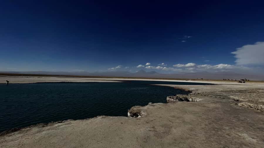 Cejar & Tebenquiche Lagoons Tour with Ojos del Salar Atacama - Tebenquiche Lagoon: guided loop walking and a desert ending