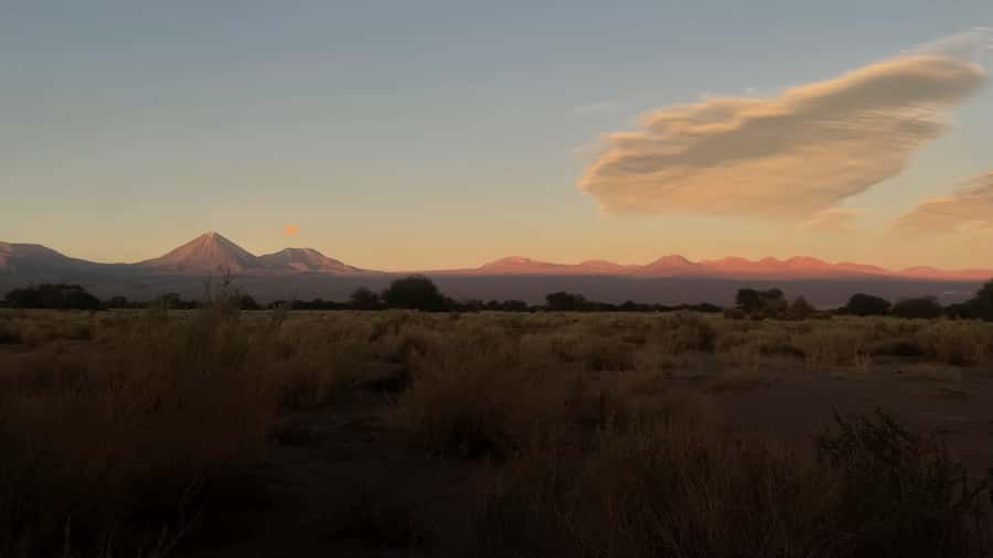 Cejar & Tebenquiche Lagoons Tour with Ojos del Salar Atacama - Price and extras: what you truly pay for this brine day