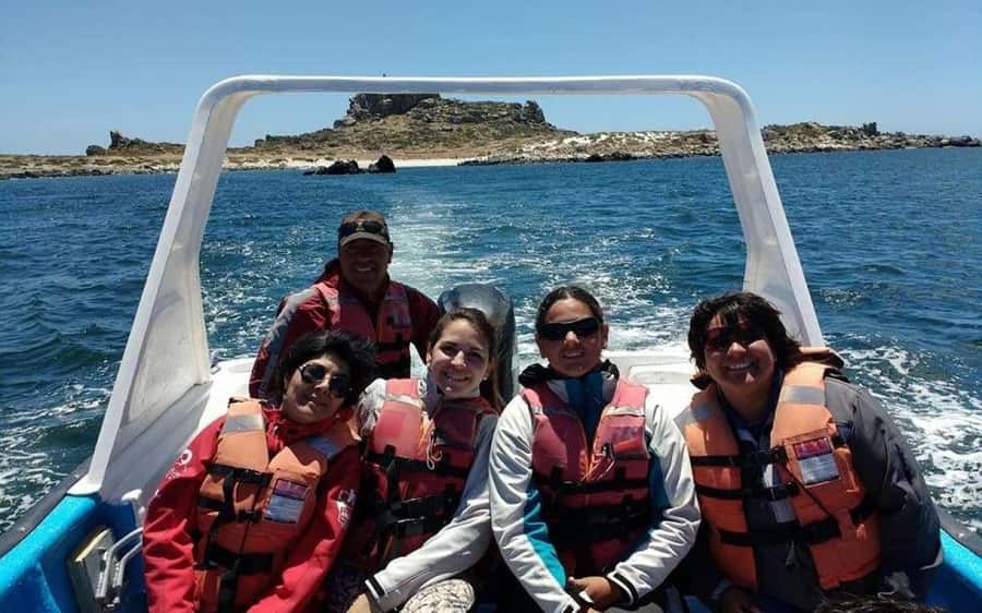 Chañaral de Aceituno boat ticket - Price and what you really get from this $44 boat ticket