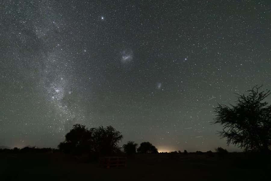 Chile: Astronomical Tour in the Atacama Desert - Who This Tour Suits Best (and Who Might Be Happier Elsewhere)