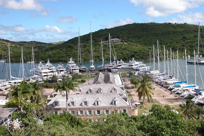 Circumnavigate Tour - Fig Tree Drive: the southern-coast stretch that connects the dots