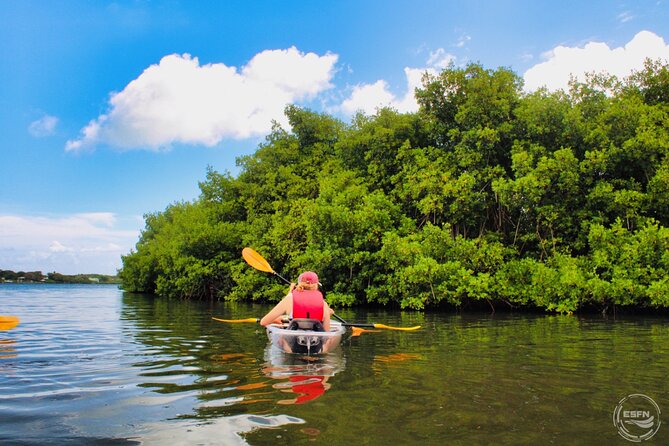 Clear Kayak Tour in Mangrove Antigua - The 60-minute plan: what you actually do on the water