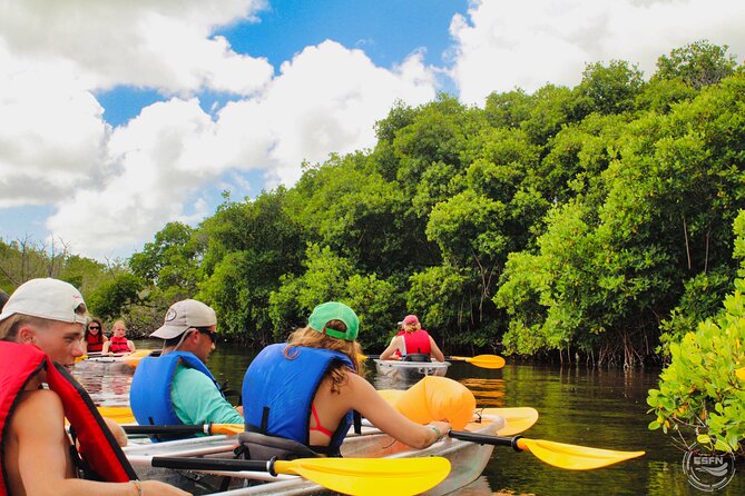 Clear Kayak Tour in Mangrove Antigua - Brittany’s mangrove teaching style (and what it means for you)