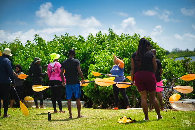 Clear Kayak Tour in Mangrove Antigua - Timing, meeting point, and how to plan your day in Osbourn