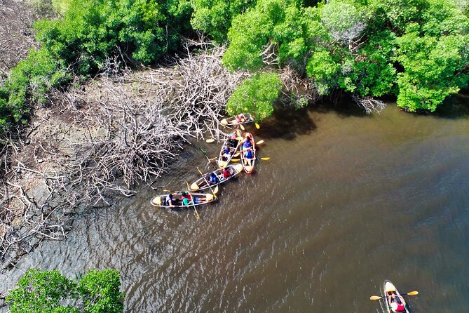 Clear Kayak Tour in Mangrove Antigua - Weather can make or break mangrove time