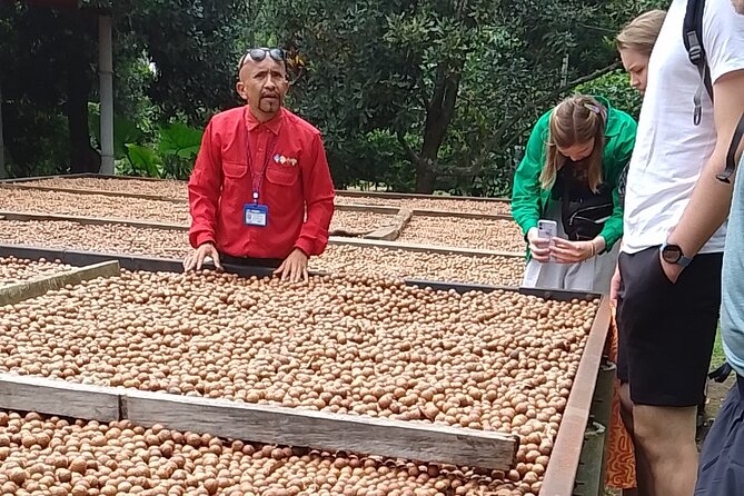 Coffee & Macadamia Fincas Tour - Antigua Pickup to the Coffee Finca: How the 4-Hour Rhythm Works