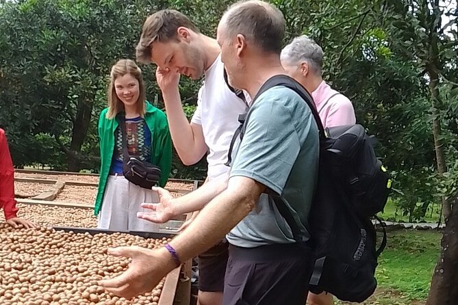 Coffee & Macadamia Fincas Tour - Finca La Azotea: Coffee From Production Area to Your Cup