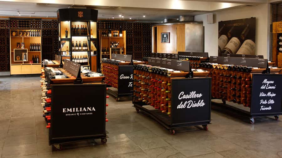 Concha y Toro Wine Tour with Dinner at the Winery - Pickup in Santiago: the convenience that makes wine feel easy