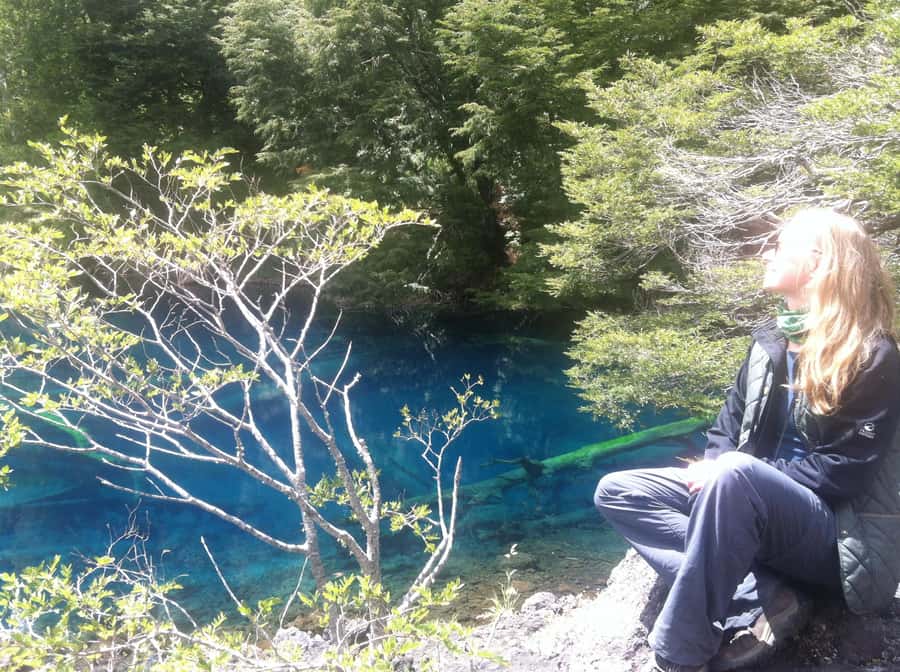 Conguillío National Park Tour, Full day - Snack time: pack your own and enjoy the pause