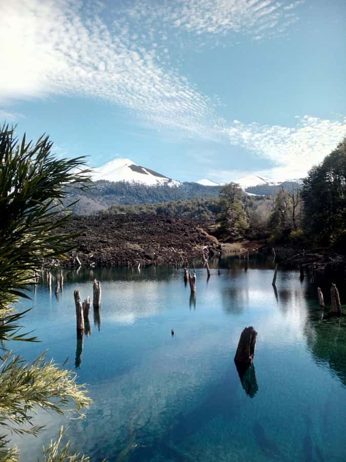 Conguillío National Park Tour, Full day - Rainbow Lagoon and Green Lagoon: two colors, two moods