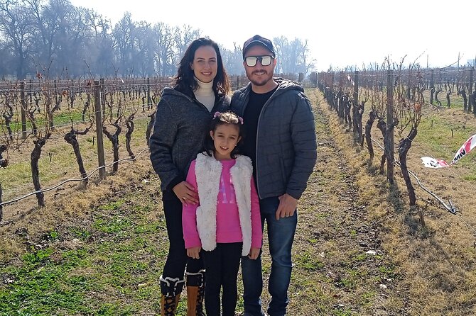 Cousiño Macul Vineyard - Maipo Valley - Premium Tasting - HD - Why Cousiño Macul is a smart half-day wine plan near Santiago