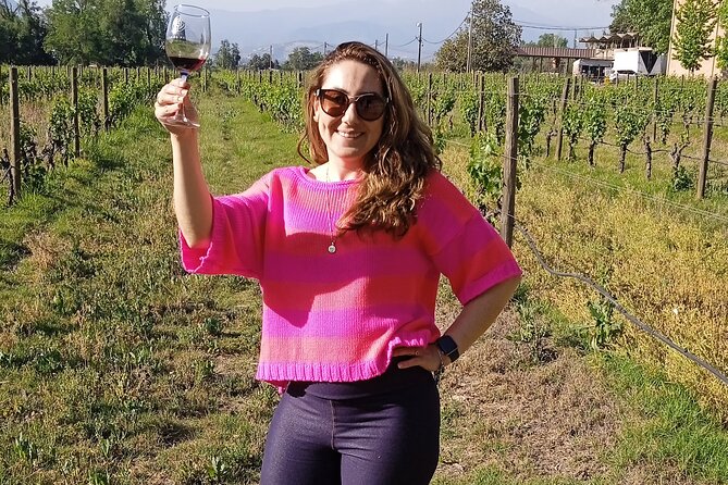 Cousiño Macul Vineyard - Maipo Valley - Premium Tasting - HD - Getting from Santiago: private pickup, minimal friction