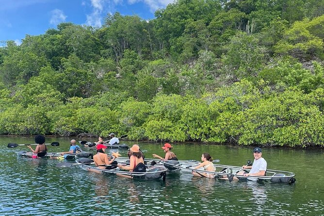 Crystal Kayak & Snorkel Eco Tour (with transfer) - Entering The Clear Water: What the Glass Kayaks Actually Change