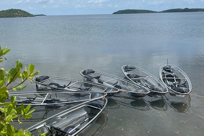 Crystal Kayak & Snorkel Eco Tour (with transfer) - Kayaking Through Mangroves: The Real Itinerary Flow