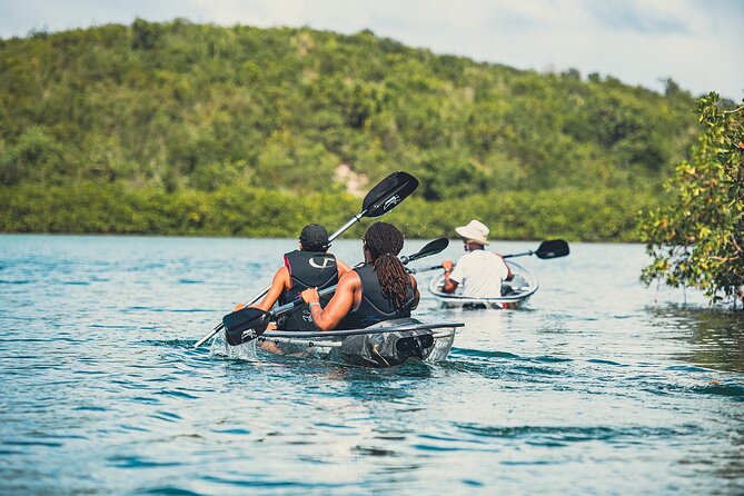 Crystal Kayak & Snorkel Eco Tour (with transfer) - Snorkeling After the Kayak: Reef Time, But Watch the Conditions