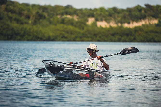 Crystal Kayak & Snorkel Eco Tour (with transfer) - Showers, Snacks, and Rum Punch: Why the Landing Matters