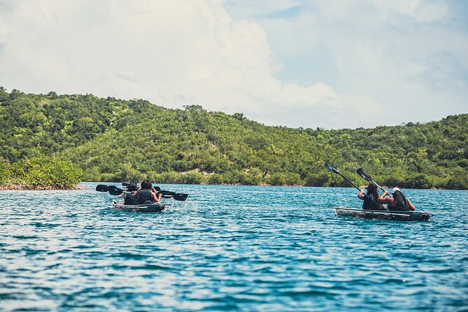 Crystal Kayak & Snorkel Eco Tour (with transfer) - Who This Tour Fits Best in Antigua