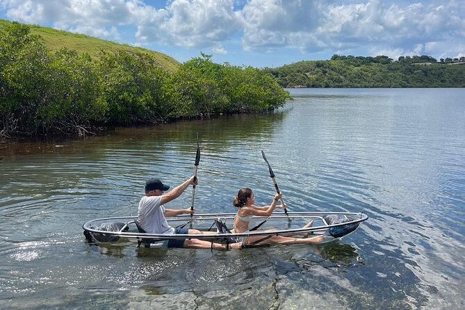 Crystal Kayak & Snorkel Eco Tour (with transfer) - Willikies Pickup and the Transfer Value at $89