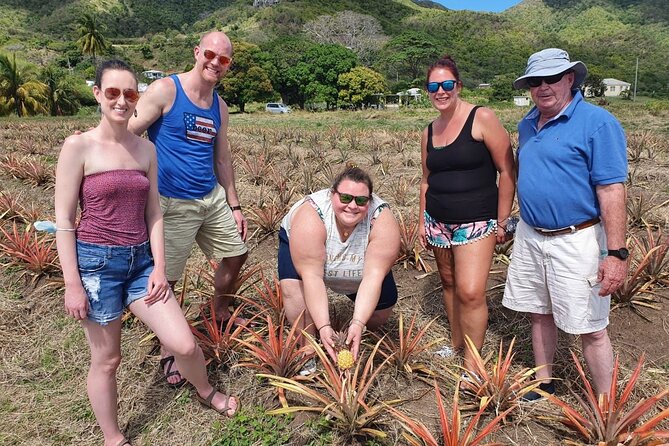 Cultural and Historical Home Tour in The Antiguan Experience - Guide styles and the difference they make