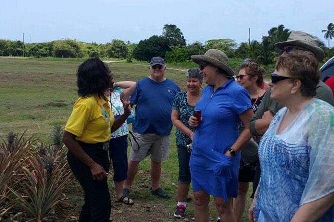 Cultural and Historical Home Tour in The Antiguan Experience - Finding the meeting point (ZONE 7 in St John’s)