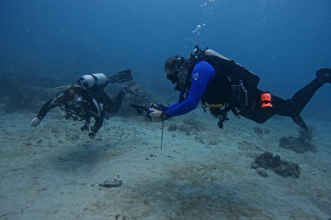DiveCarib - An Eco-Friendly Certified Diver Trip in Antigua - Getting to DiveCarib and Starting on Antigua Time