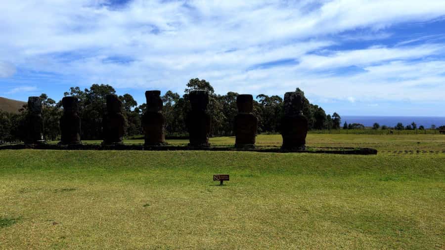 Easter Island: Half-Day Archaeology Tour - Pace, comfort, and what to bring for easy walking