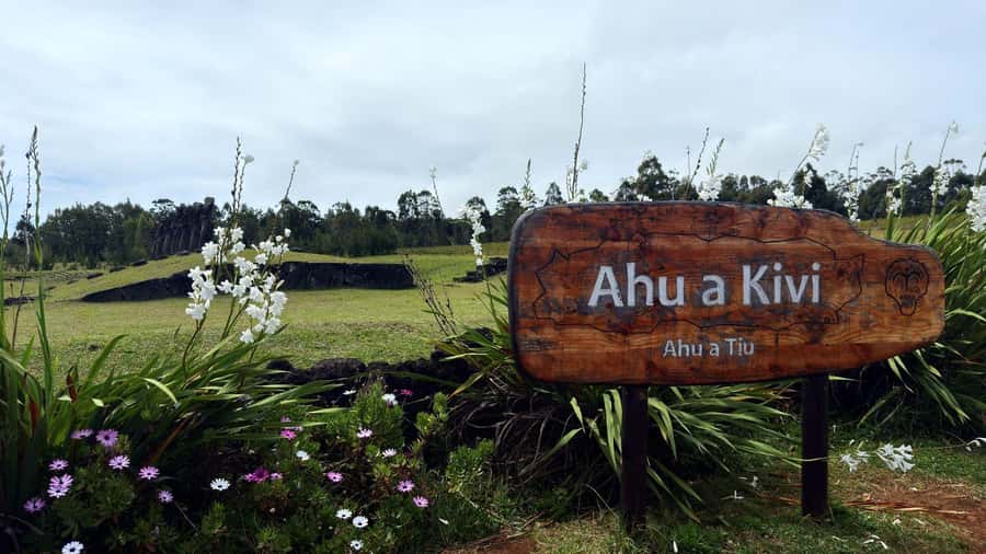Easter Island: Half-Day Archaeology Tour - Rapa Nui National Park: moai everywhere, wildlife too