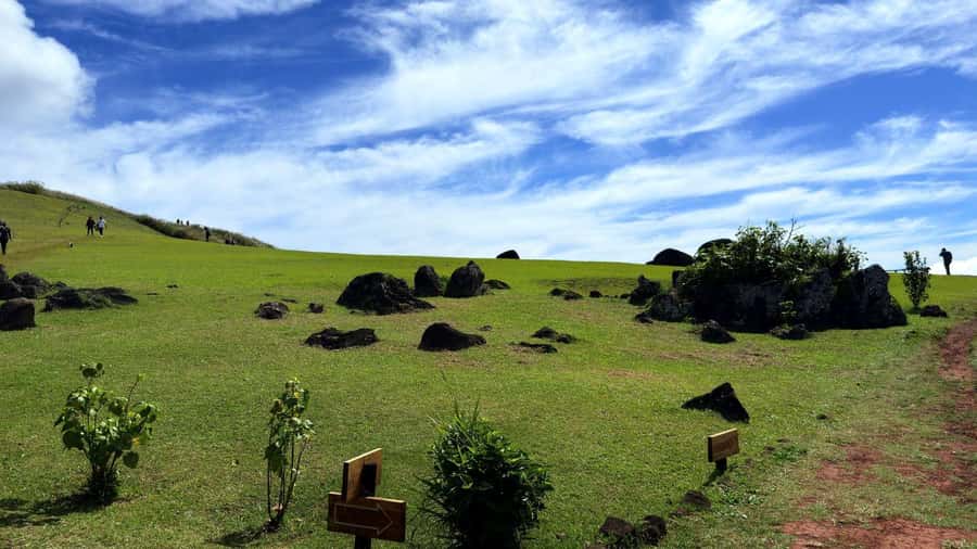 Easter Island: Half-Day Archaeology Tour - Ahu Tahai: a lone moai moment and why it sticks