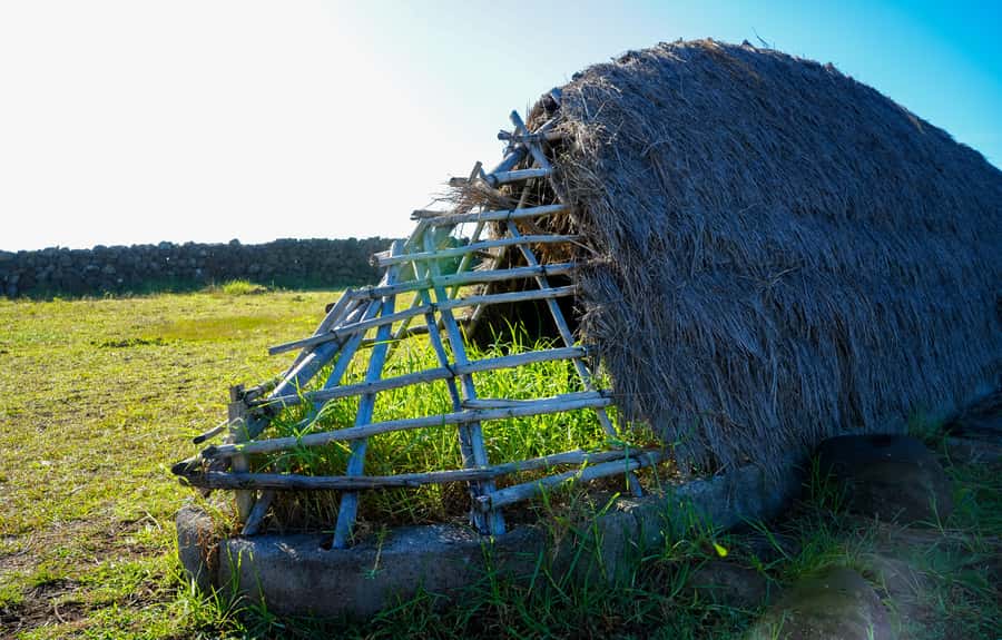 Easter Island: Moai Full Day Private Tour - Ahu Ahahanga: Moai still sitting like ceremony