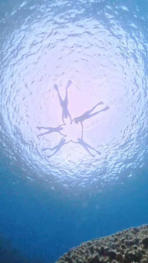 Easter island: Snorqueling tour on coral reefs - Rapa Nui coral reefs: what you actually see in the water
