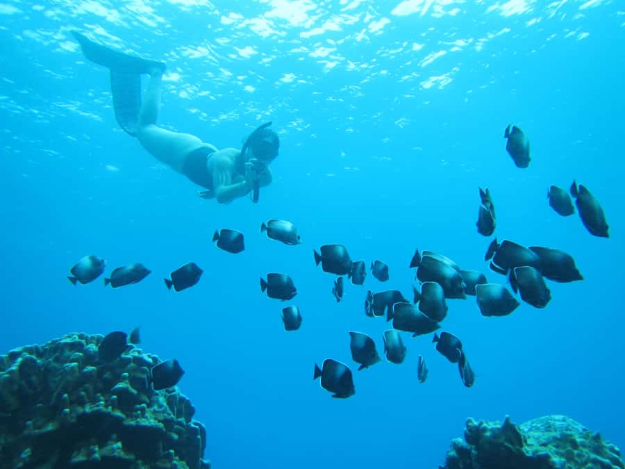 Easter island: Snorqueling tour on coral reefs - Getting from Hanga Roa to the reef: the 30-minute jeep ride
