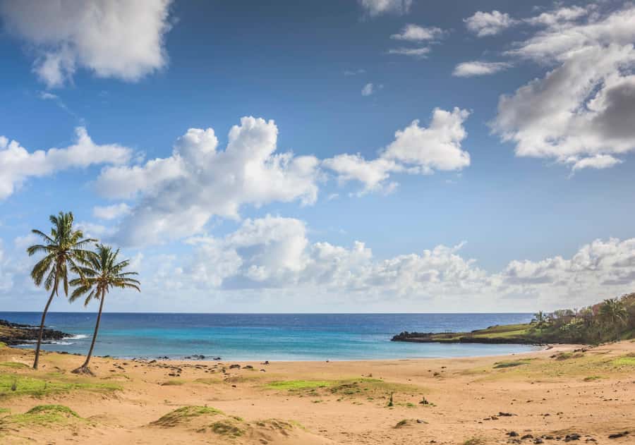 Easter Island: The Moai Trail Private Archeological Tour - Who this Moai Trail tour fits best