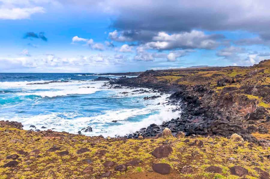 Easter Island: The Moai Trail Private Archeological Tour - Should you book this private Moai Trail tour?