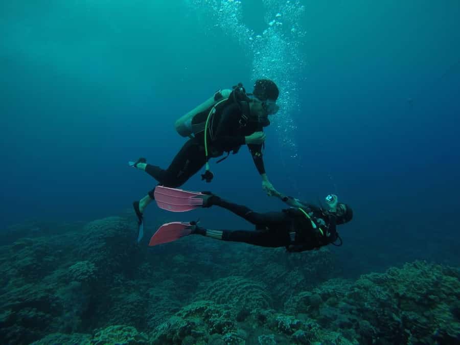 Easter Island: Tropical Diving - Key things I think you’ll care about most