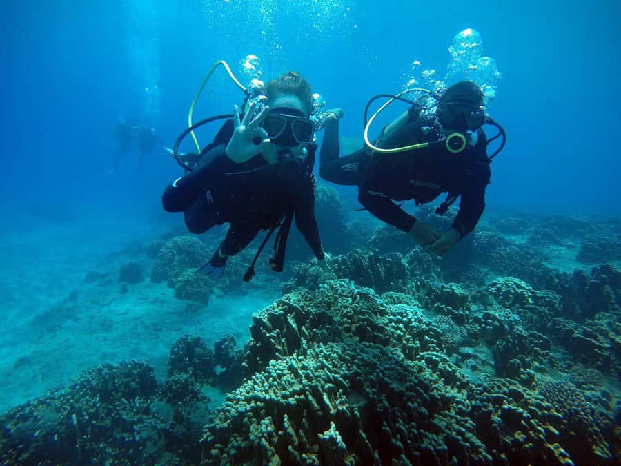 Easter Island: Tropical Diving - Hanga Piko, the cove start, and why transfers matter