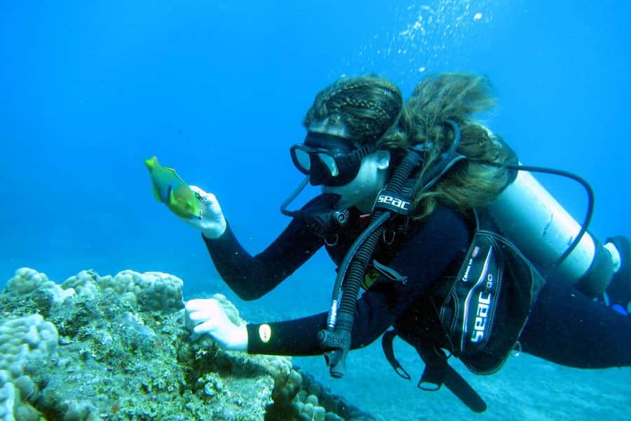 Easter Island: Tropical Diving - What you’re really looking for underwater: turtles, fish, and clear visibility