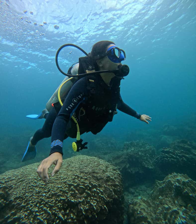 Easter Island: Tropical Diving - FAQ