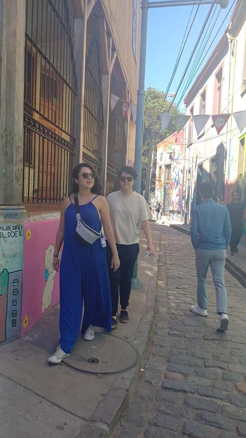 Exclusive Coastal Tour: Valparaíso, Viña del Mar & Reñaca - Price and Logistics: What $38 Gets You in Real Terms