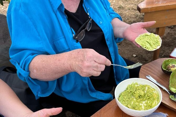 Experience: Organic Coffee, Avocados, Honey & More! - Avocado plantation walk, then guacamole and tortillas in season