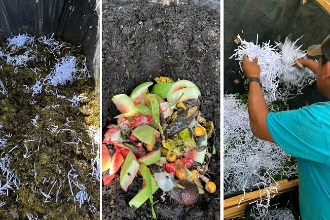 Experience: Organic Coffee, Avocados, Honey & More! - Four organic compost setups: practical fertilizer lessons you can use