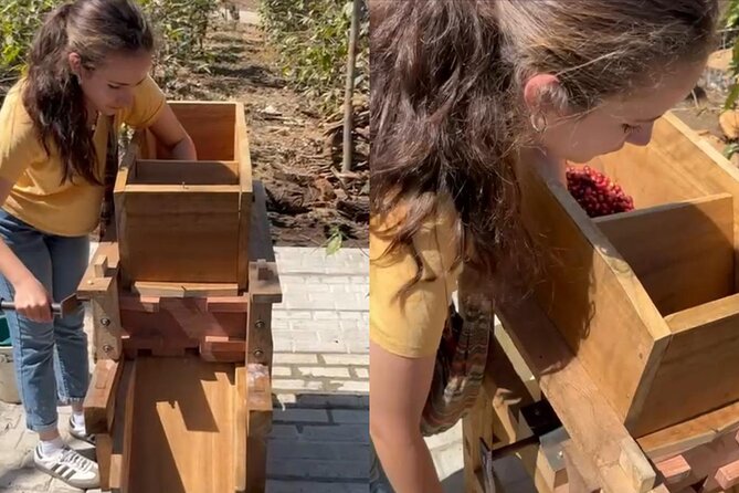 Experience: Organic Coffee, Avocados, Honey & More! - The people behind the farm experience: owner-led and hands-on