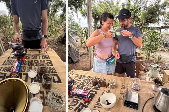 Experience: Organic Coffee, Avocados, Honey & More! - Price and timing: a 2 to 3 hour family-farm escape from Antigua