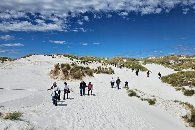 Falkland Islands Shared Tour Sightseeing with Penguins - The Whale Jawbones Monument and Christchurch Cathedral Area