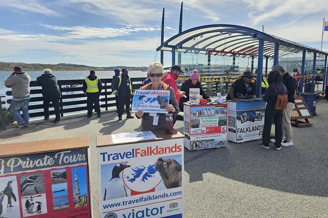 Falkland Islands Shared Tour Sightseeing with Penguins - Gypsy Cove Penguins and Shore Birds, With a Real Walk