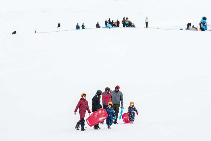 Farellones Park Tour: Snow Adventures - Inside Farellones Park: Base Sector, Intermediate Zone, Summit