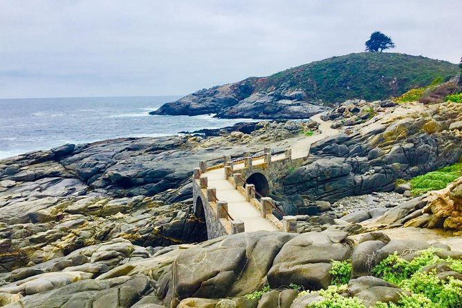 Fr STGO: WILD PENGUINS, SEALION, SANDBOARD, PARAGLIDING & PICNIC - Why This Penguin, Sea Lion, and Dune Day Works