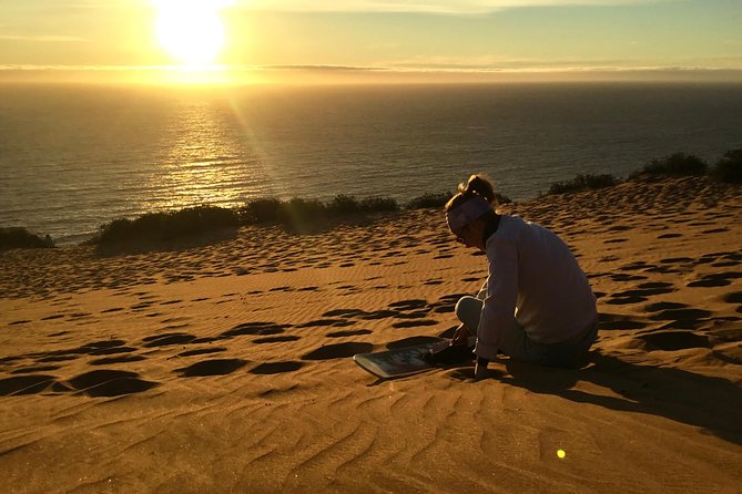 Fr VALPO: WILD PENGUINS, SEALION, SANDBOARD, PARAGLIDING & PICNIC - The short final stop toward Valparaíso (and how drop-off works)