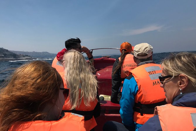 Fr VALPO: WILD PENGUINS, SEALION, SANDBOARD, PARAGLIDING & PICNIC - Tips to make the day smoother (small things, big payoff)