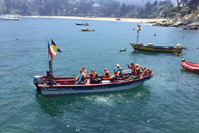 Fr VALPO: WILD PENGUINS, SEALION, SANDBOARD, PARAGLIDING & PICNIC - Paragliding school hilltop lunch with ocean views