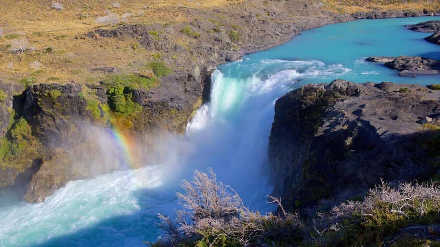 From El Calafate: Torres del Paine Full Day Tour - Wildlife, Weather, and What You Might Not See